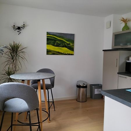 Appartement Salamandre Orleans Bagian luar foto