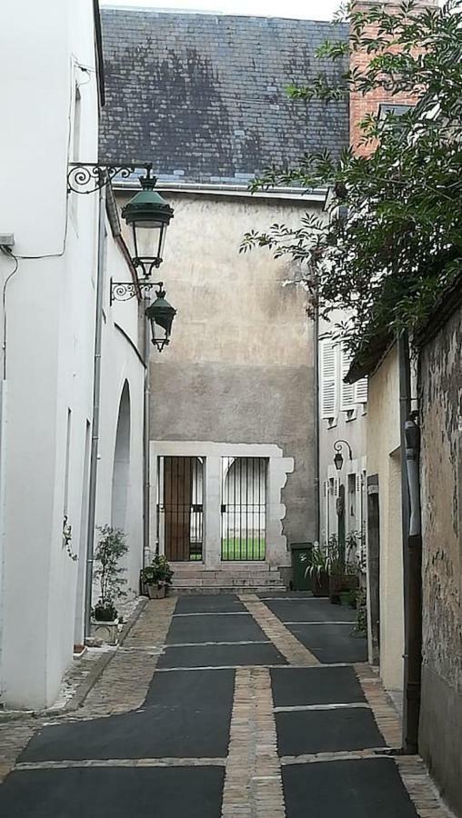 Appartement Salamandre Orleans Bagian luar foto
